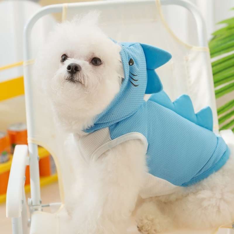 Jaket sale baby shark