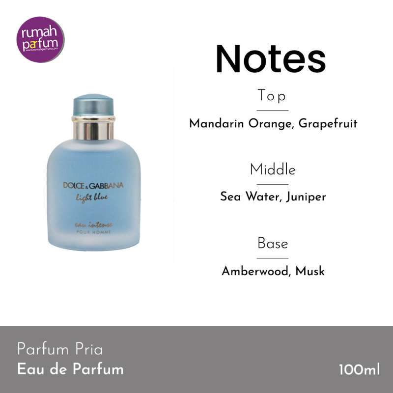 Harga dolce gabbana deals light blue intense