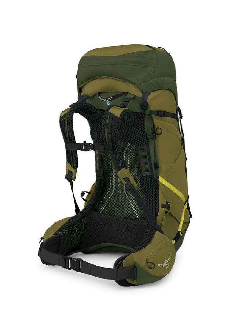 Tas Gunung Carrier Osprey Atmos AG LT 50 Include Rain Cover Original