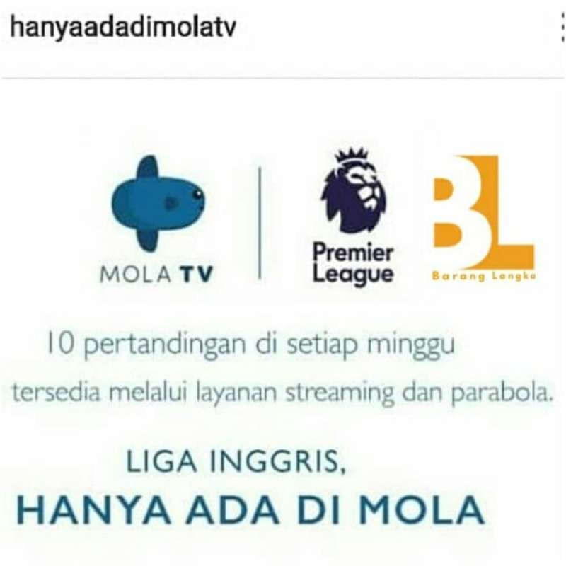 Pasang Parabola Mini MOLA TV Premier Liga Inggris by Matrix