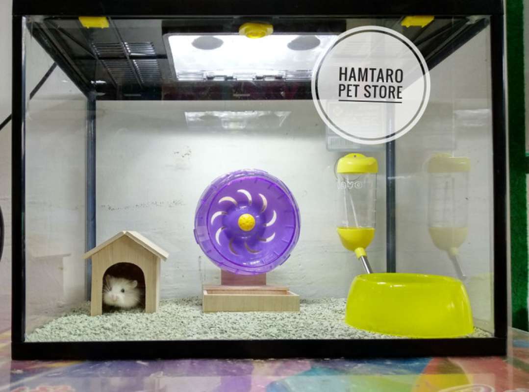 Hamster aquarium top