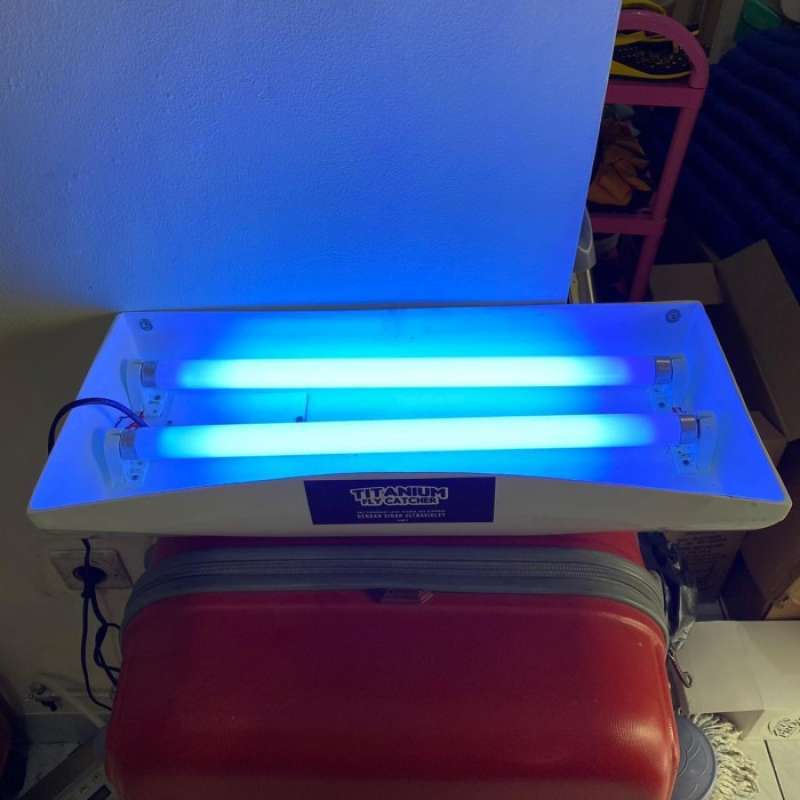 Ultraviolet fly catcher online