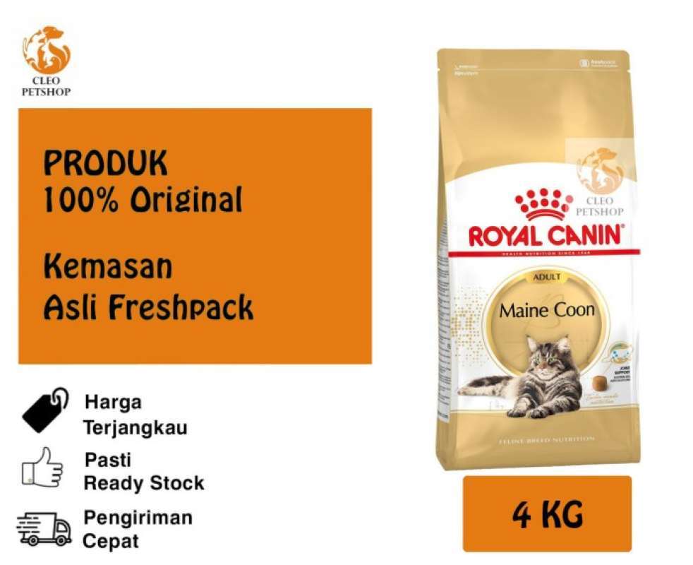 Royal canin maine coon 4 kg online