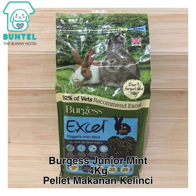 Burgess store excel junior