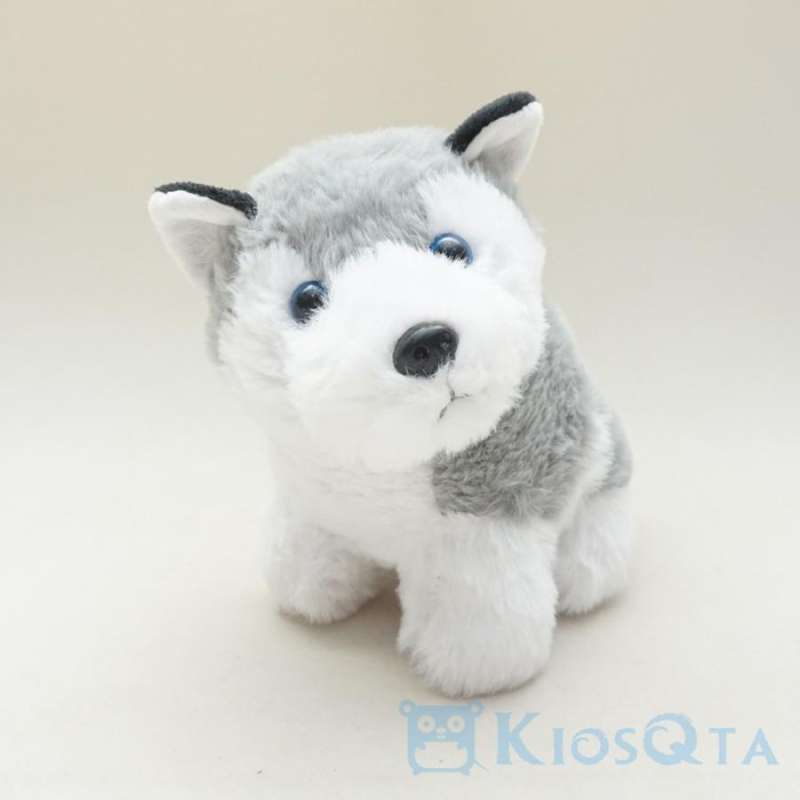 Beli siberian husky sale