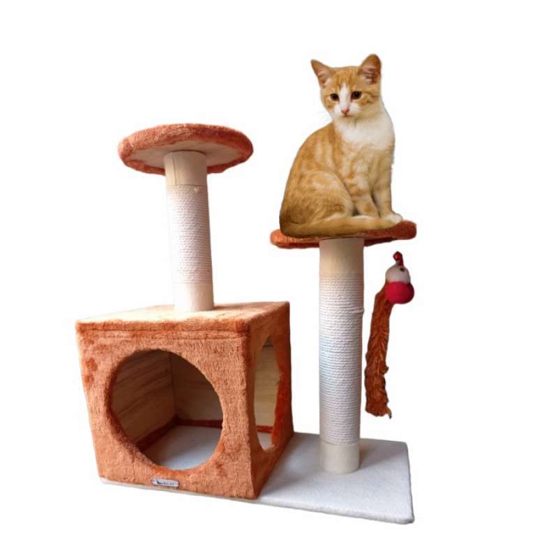 Jual Cat Condo Kucing Terdekat Harga Grosir Murah Terupdate Hari Ini November 2024