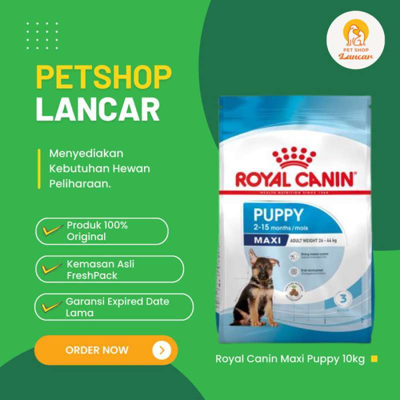 Royal canin hotsell maxi junior 10kg