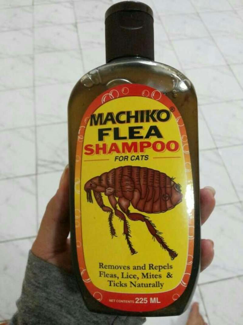 Shampo machiko store