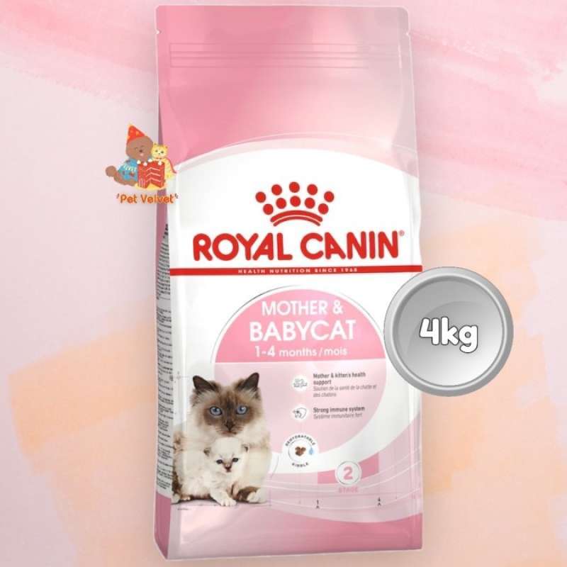 Rc mother baby cat cheap