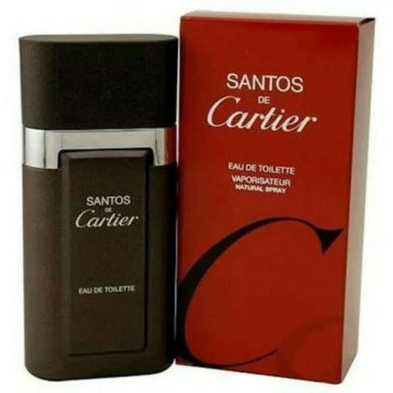 Harga cartier santos 100 original on sale