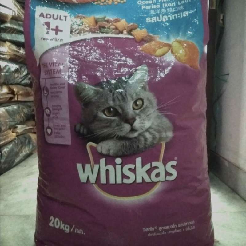 Whiskas 20kg outlet