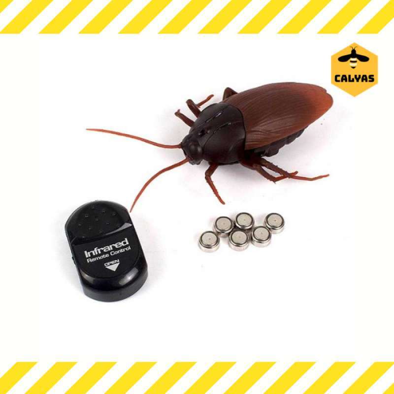 Giant roach prank on sale