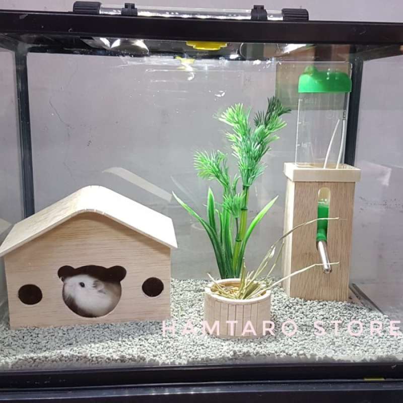 Aquarium Custom Gerbil Cage Gerbil Tank Topper 12