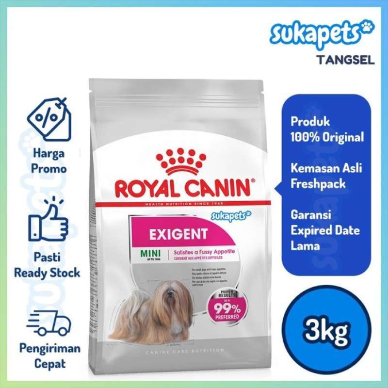 Royal canin exigent mini sale