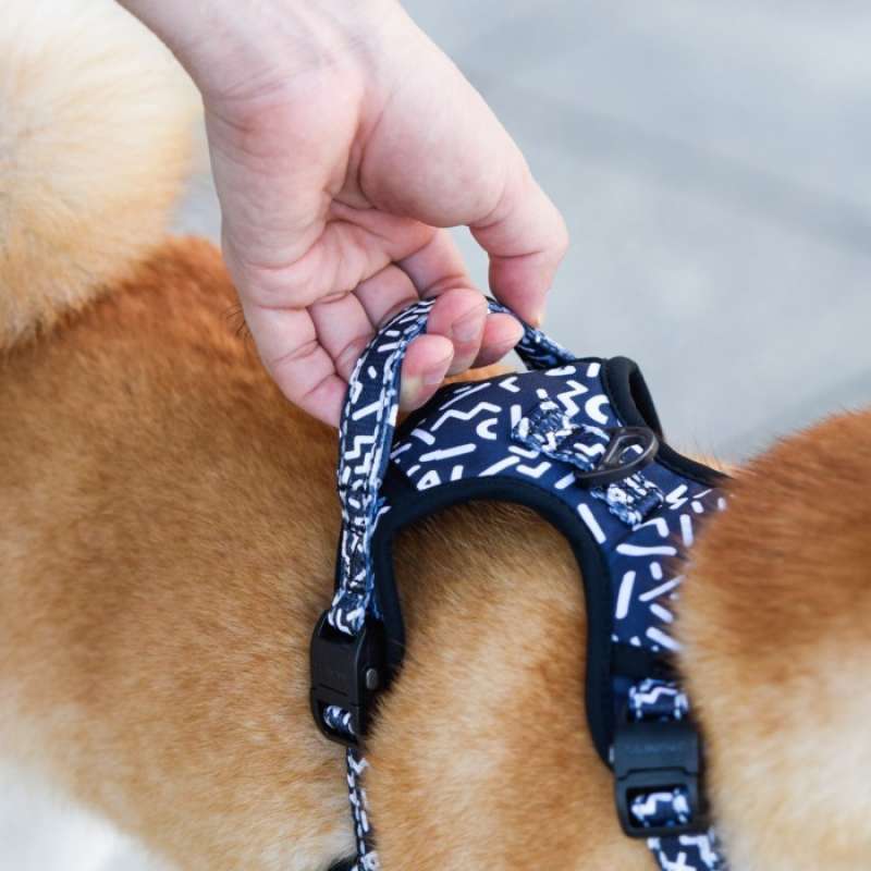 Dogness harness on sale