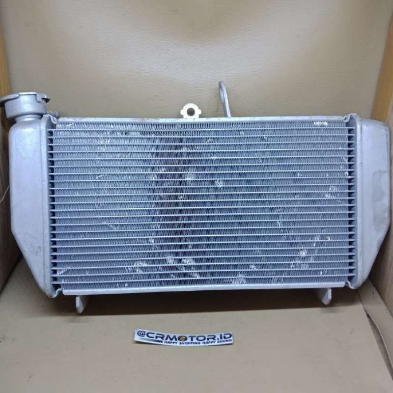 Radiator r25 sale
