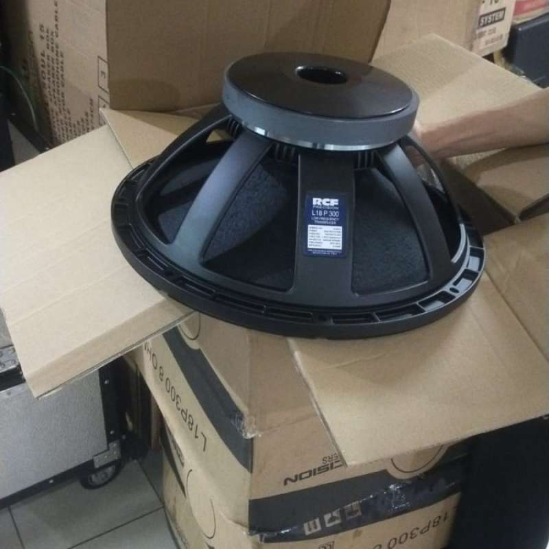 Speaker best sale rcf p300