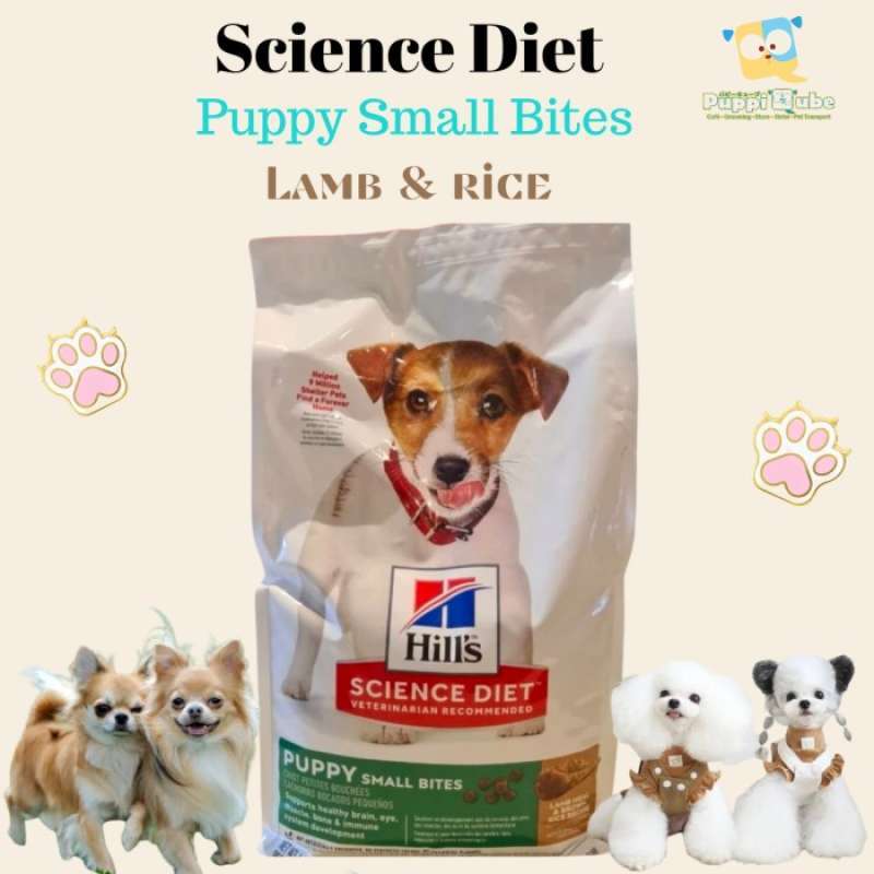 Science diet on sale puppy lamb