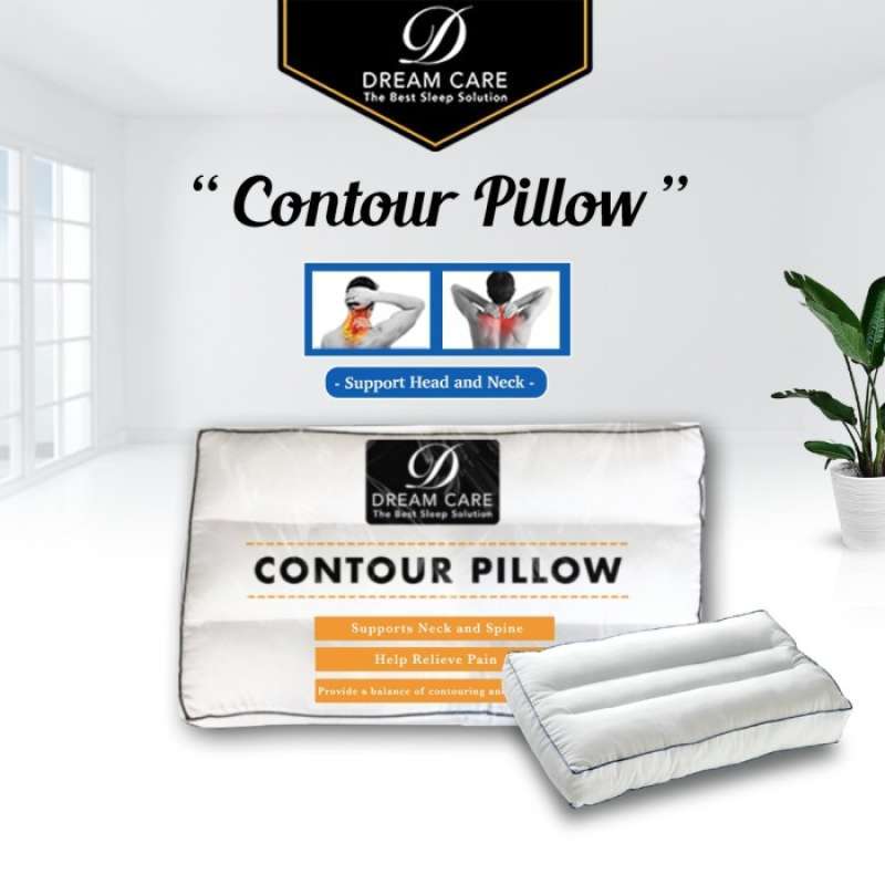 Dream 2025 therapy pillow