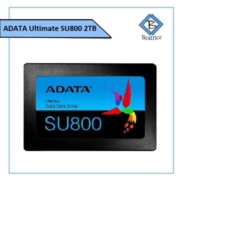 Su800 2tb clearance
