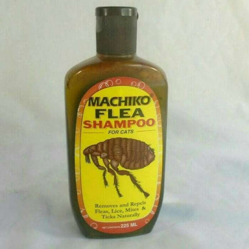 Shampo machiko online