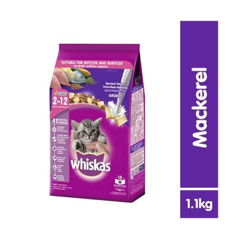 Jual Distributor Makan Kucing Terdekat Harga Grosir Murah Terupdate Hari Ini Oktober 2024