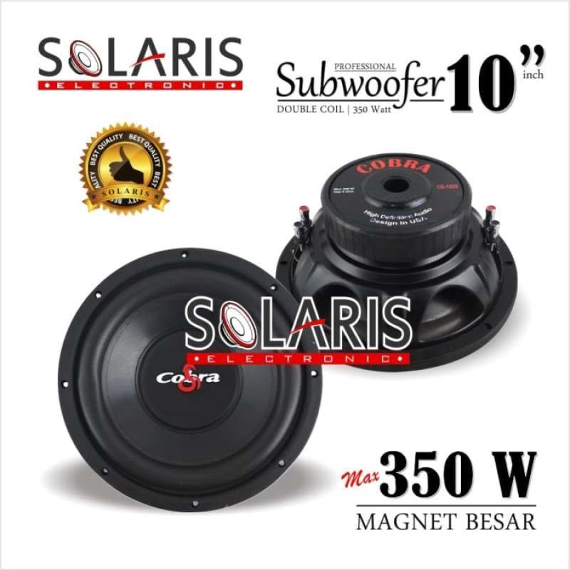 Speaker 10 shop inch double coil