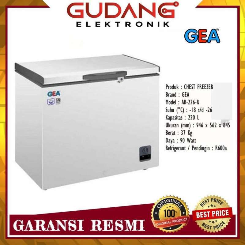 Freezer 200 shop liter gea