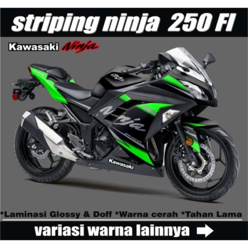Ninja 2025 250 old