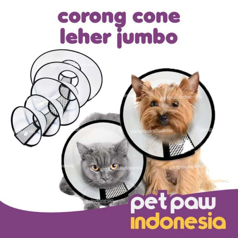 E collar cheap kucing