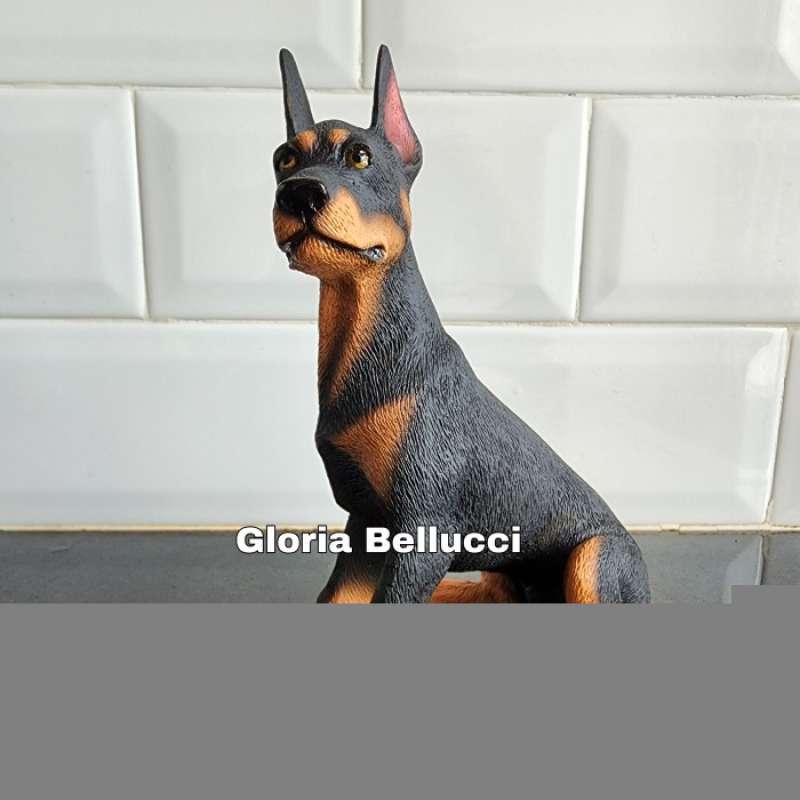 Harga doberman pinscher best sale