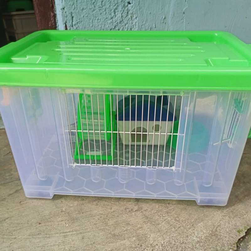 Box hamster sales