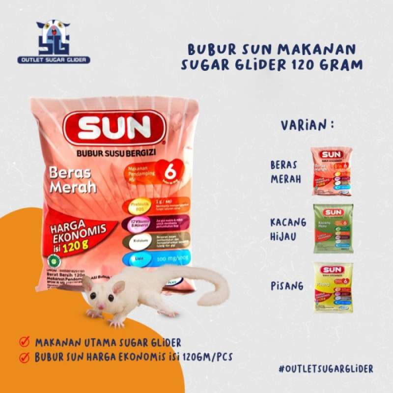Susu sugar glider sales