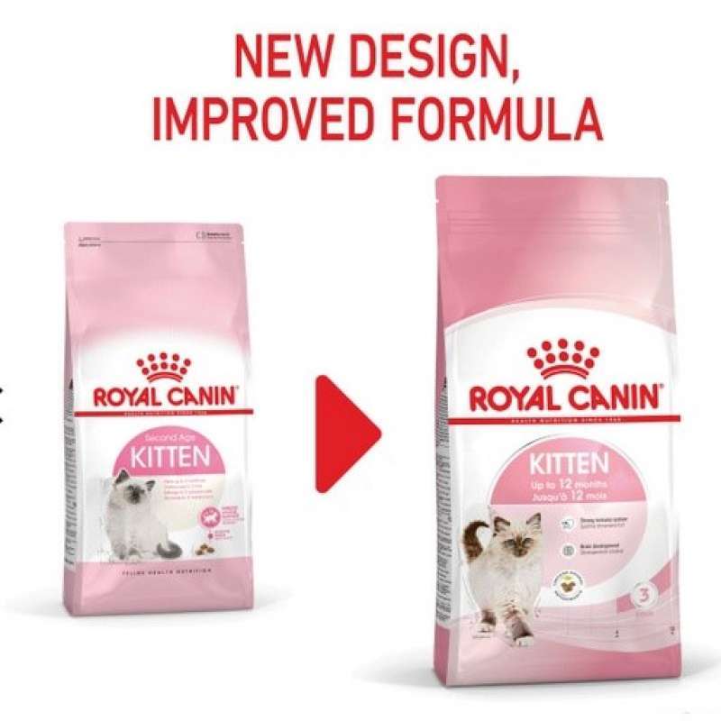 Royal canin hotsell kitten ragdoll