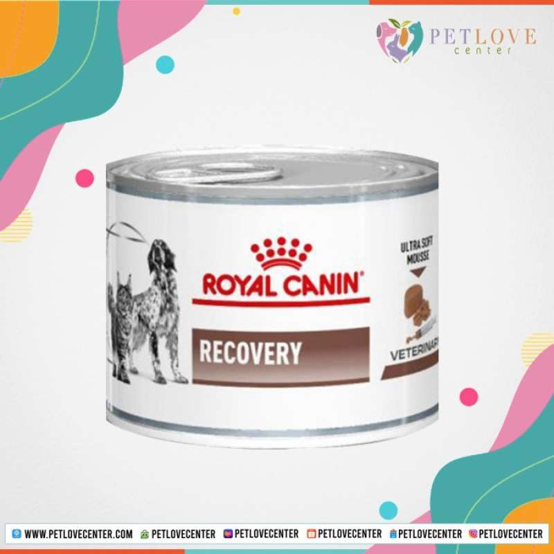 Royal canin recovery 195g hot sale