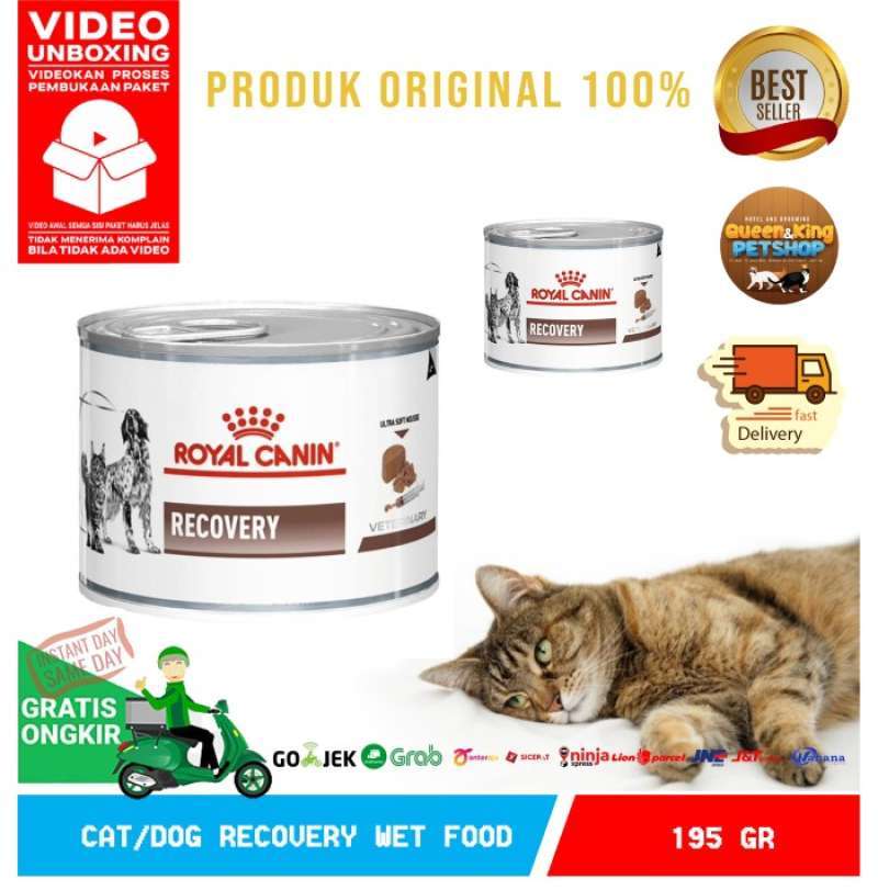 Royal canin recovery untuk kitten 2025