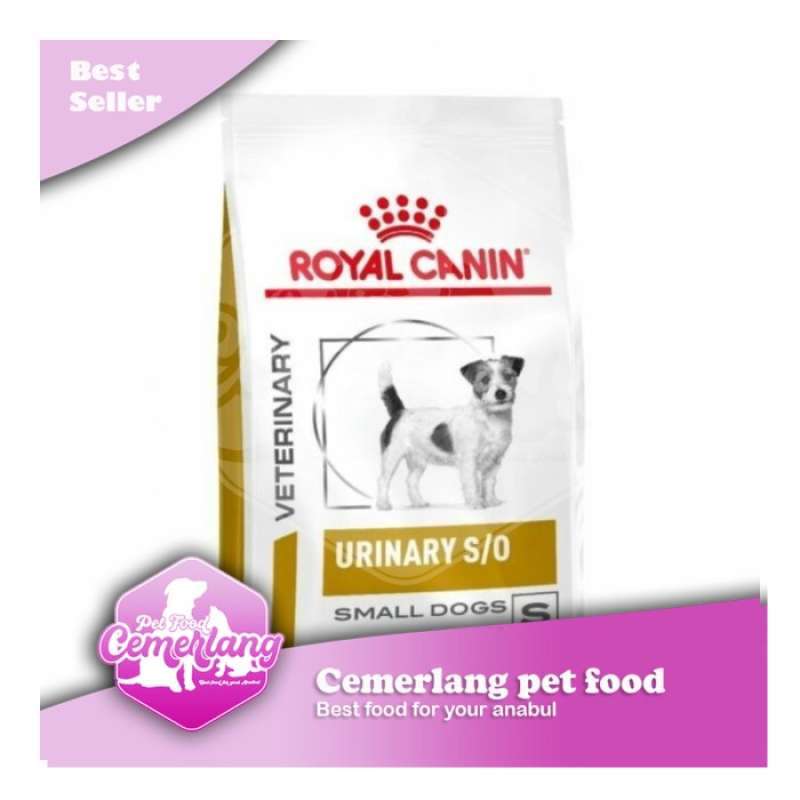 Urinary clearance small dog
