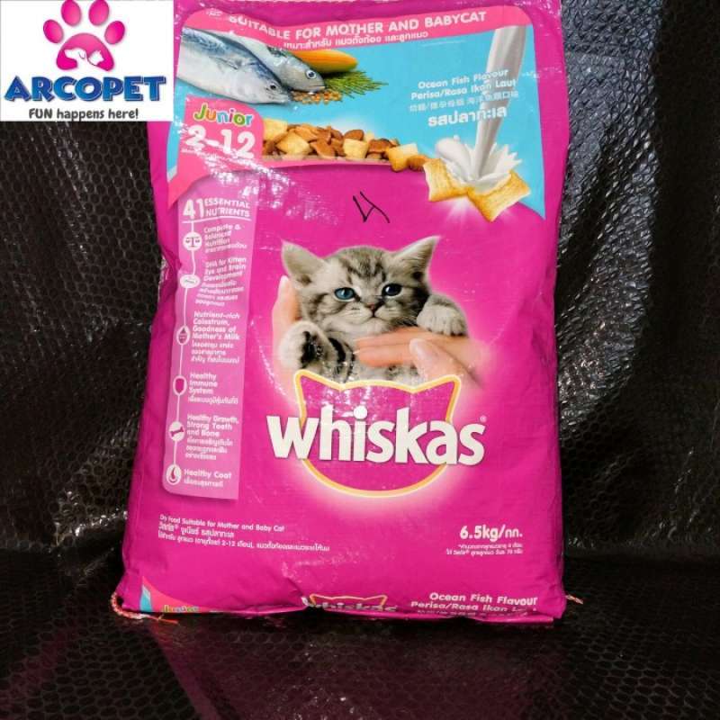 Whiskas 5kg online