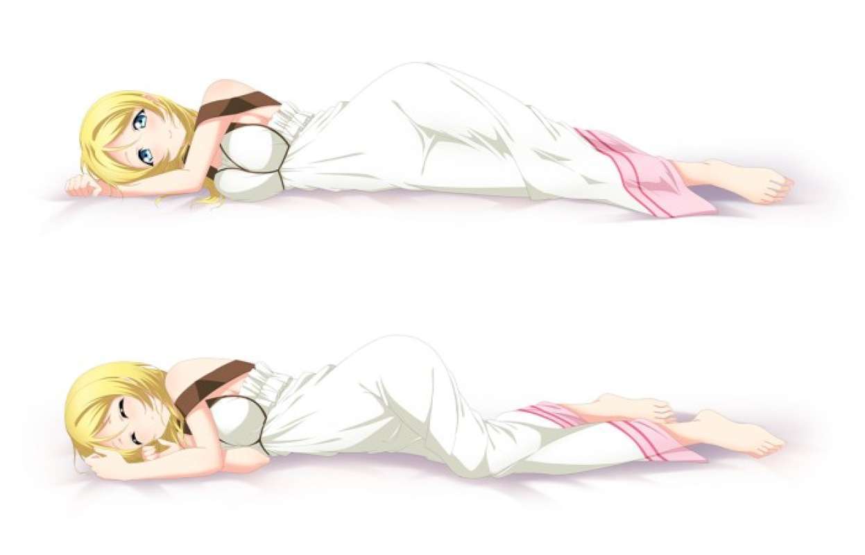Eli ayase on sale dakimakura