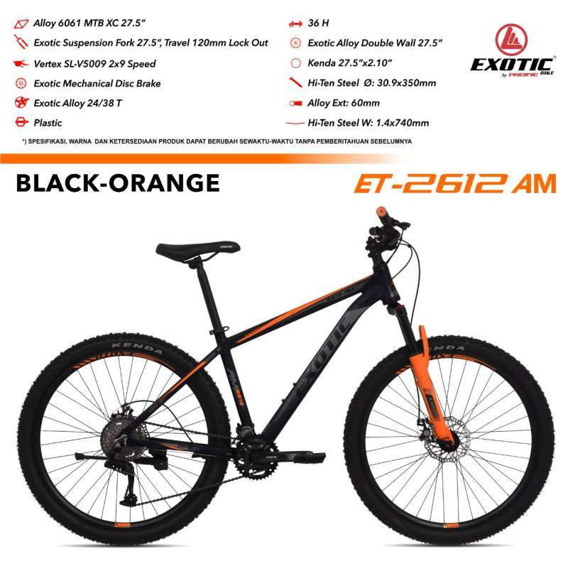 Exotic shop bike mtb