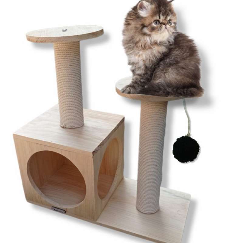 Condo kucing discount