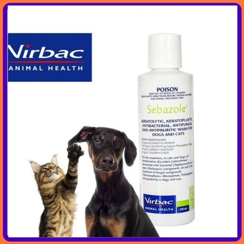 Sebazole dog shampoo 2025