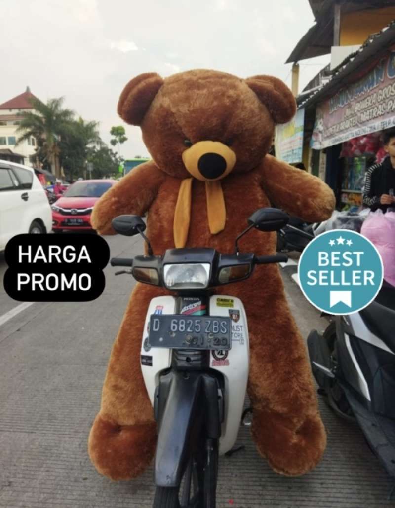 Teddy bear paling besar online