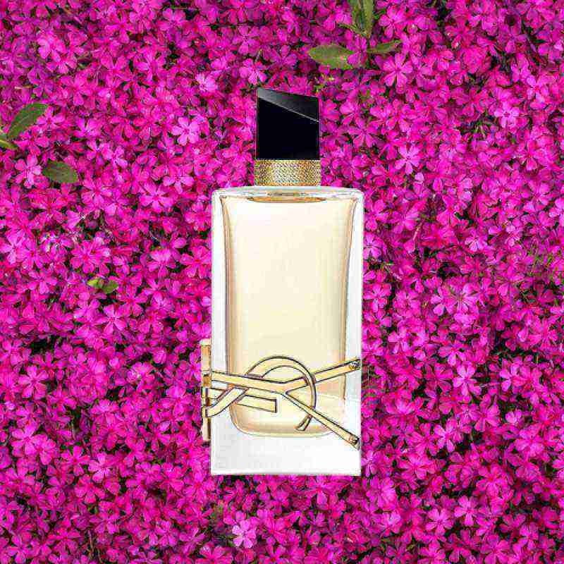 Harga parfum sale ysl original