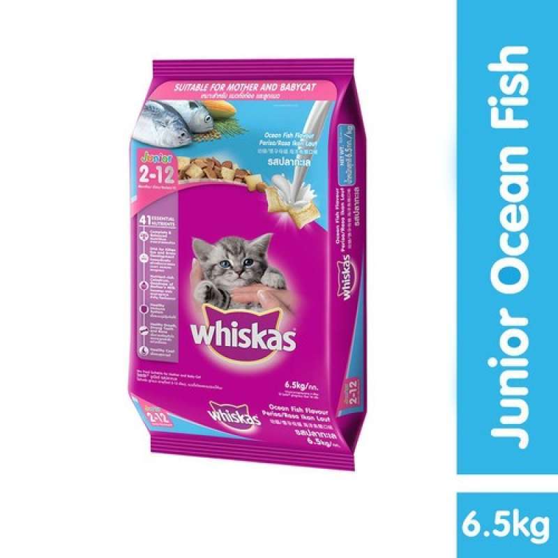Whiskas junior 7kg cheap