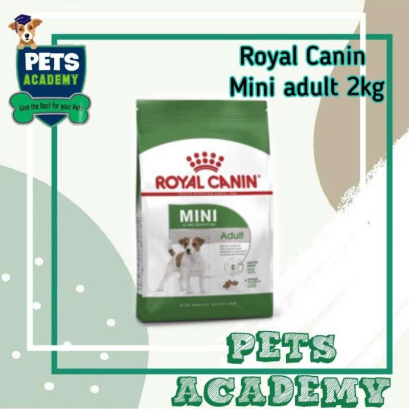Royal canin mini adult 2kg sales