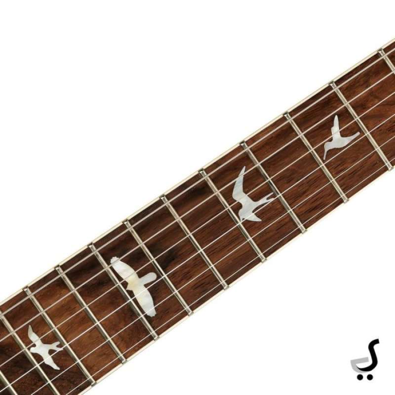 Fret gitar store