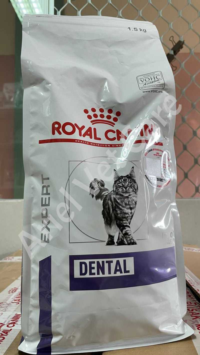 Royal canin hotsell dental cat
