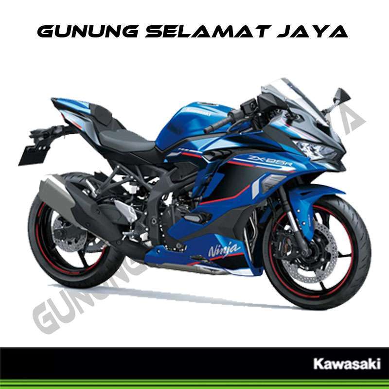 Ninja on sale zx25r blue