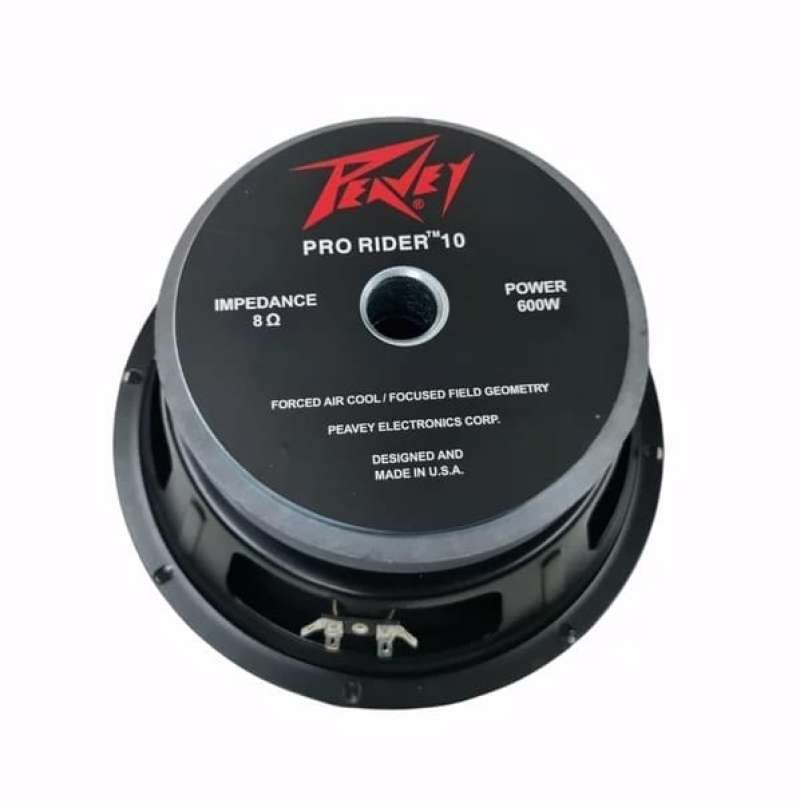 Peavey 10 inch sales speakers